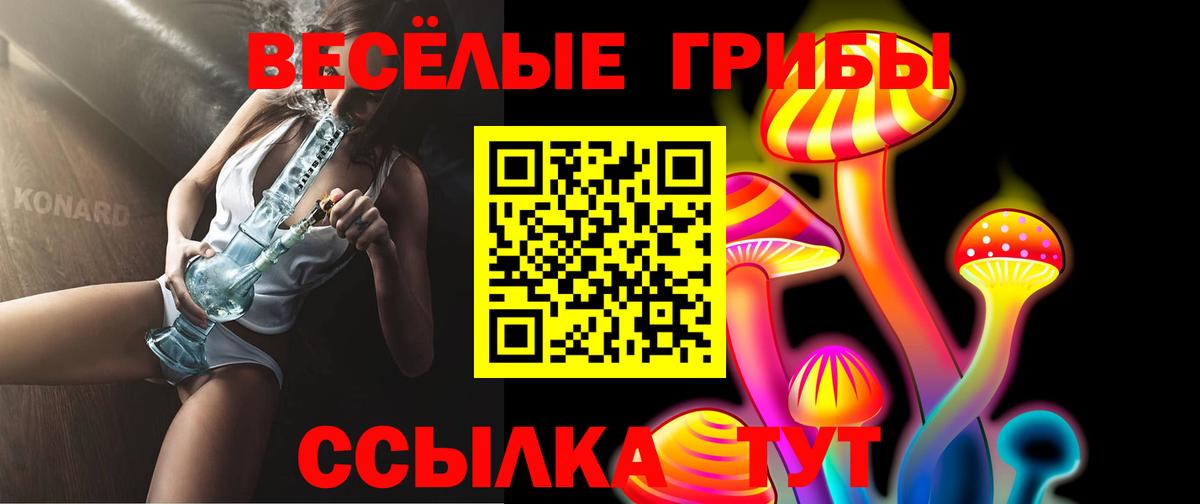 Галлюциногенные грибы ЛСД Полевской